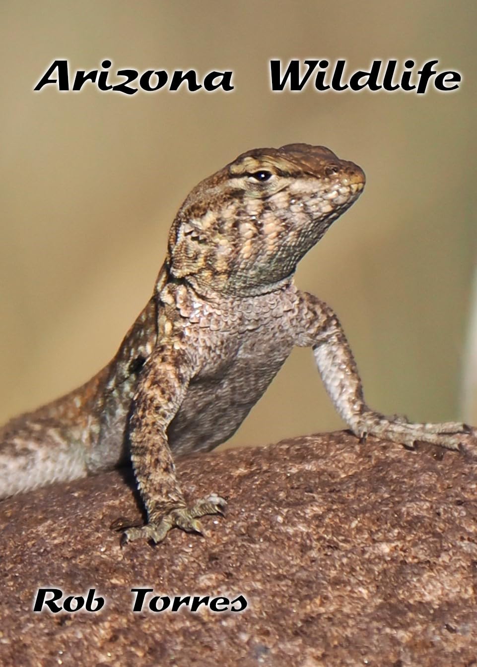 Arizona Wildlife par Rob Torres : sublimez votre salon avec ce livre de photos