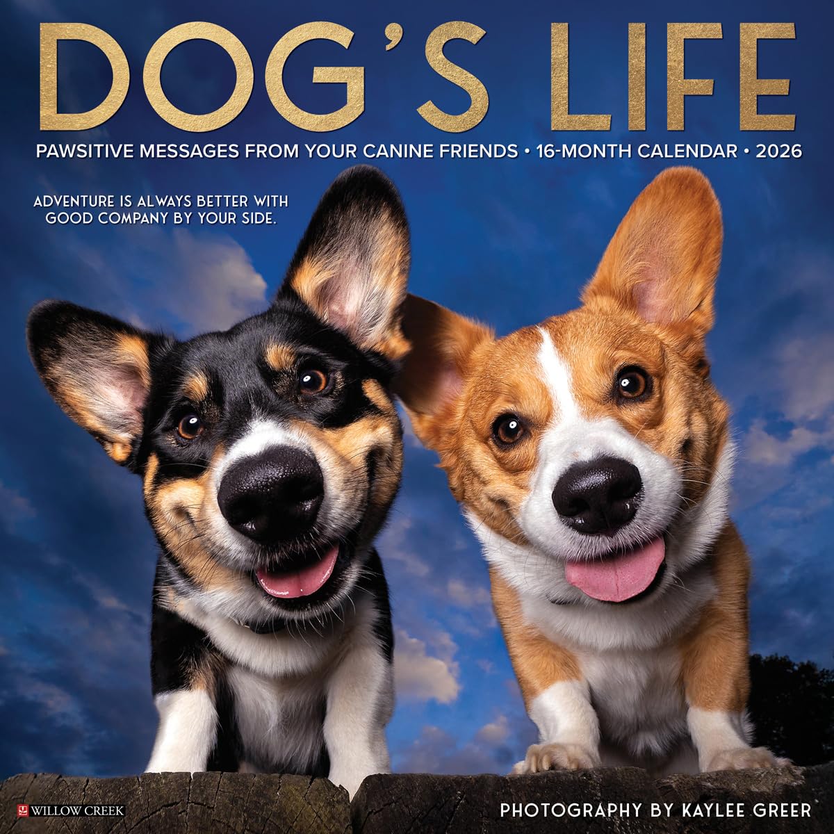 Dog's Life 2026 Wall Calendar