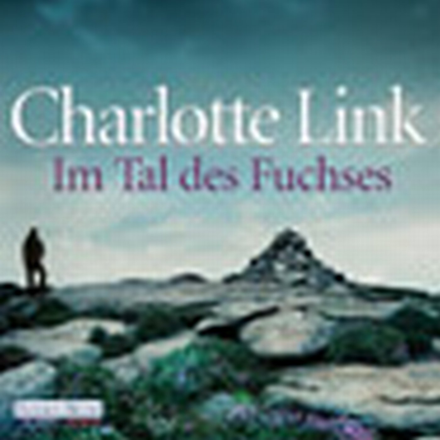 Cover art for Im Tal des Fuchses
