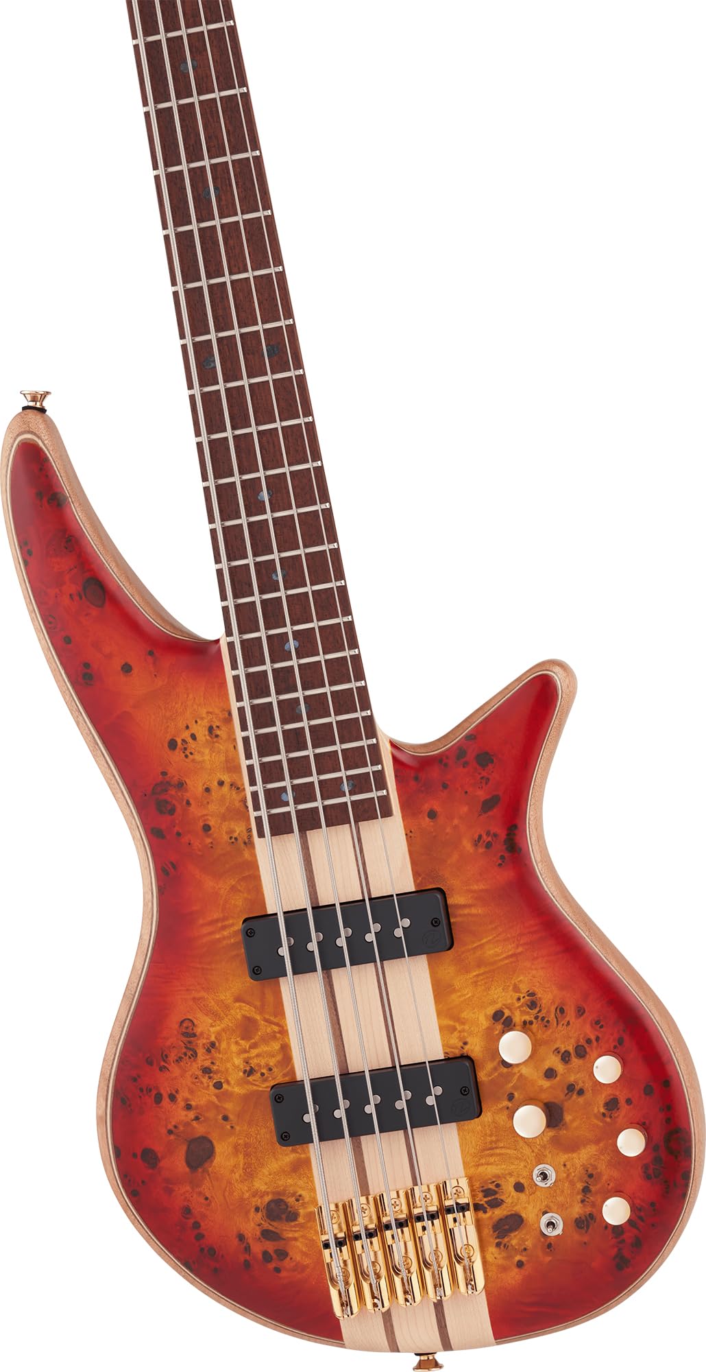 Amazon.com: Jackson Pro Series 5-String Spectra Bass SBP V, Cherry