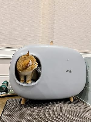 ipet litter box