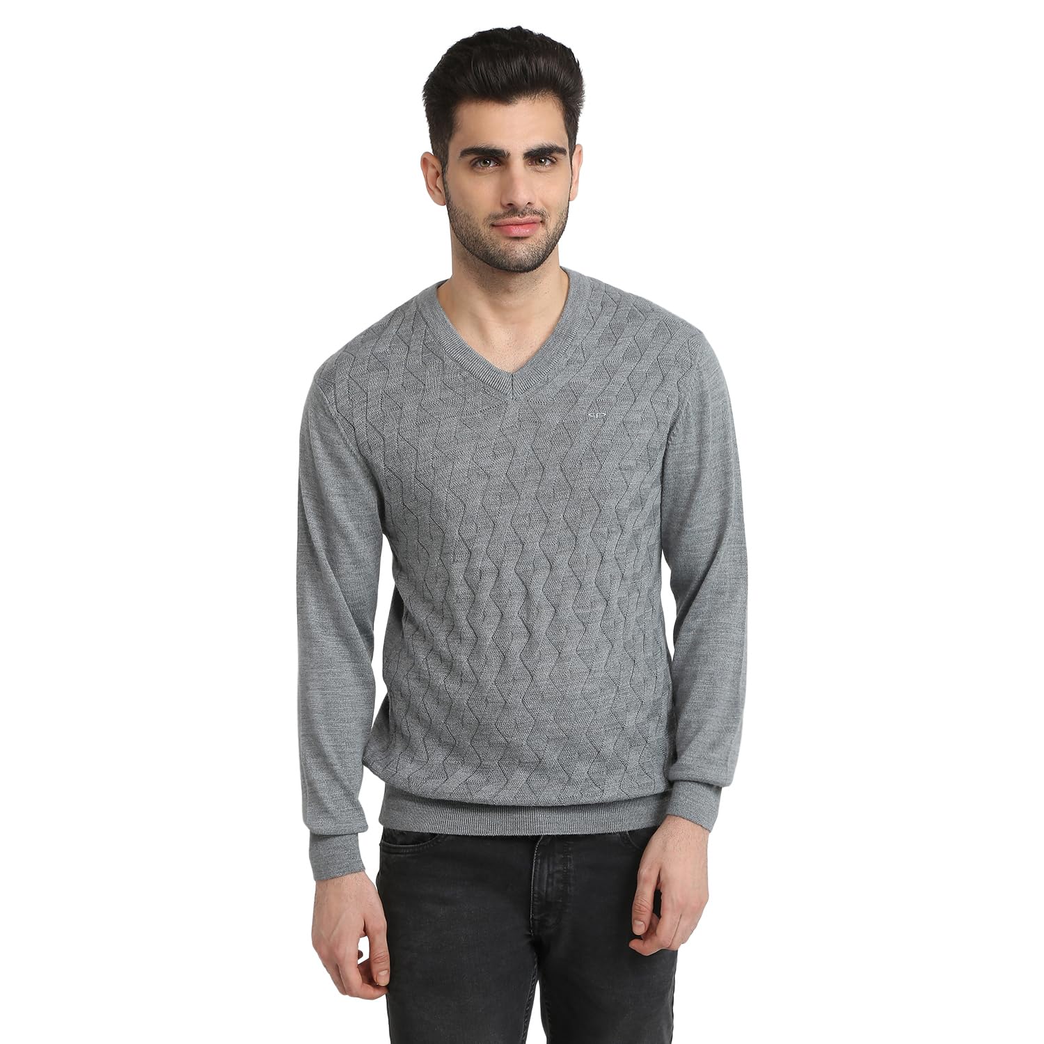 colorplus Men Full Sleeve Regular Fit Solid Pattern Merino Wool Acrylic Blend V Neck V Neck Casual Winter wear-picture-18