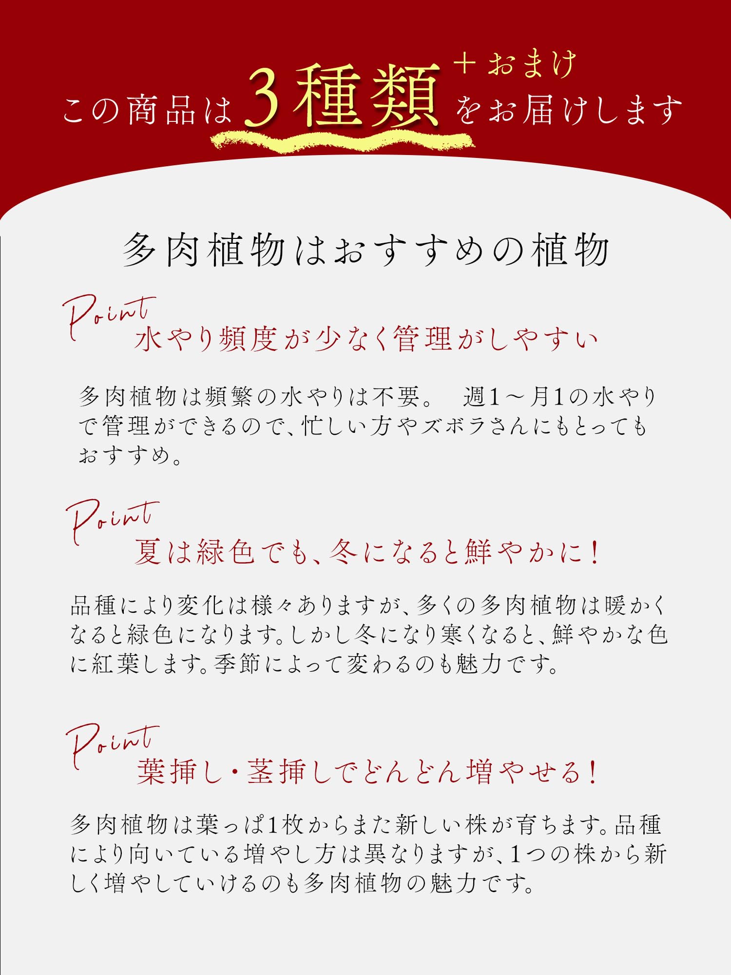 Amazon.co.jp: 【華みやび】多肉植物3種 小サイズ3種MIX＋a