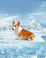 Dog Cooling Mat - Instant Cooling Pet Bed for Dogs & Cats, 6-12°F Drop, Non-Toxic & Machine Washable, Anti-Slip Bottom, Cool Mat for Indoor & Travel Use Light Blue 36" x 24"