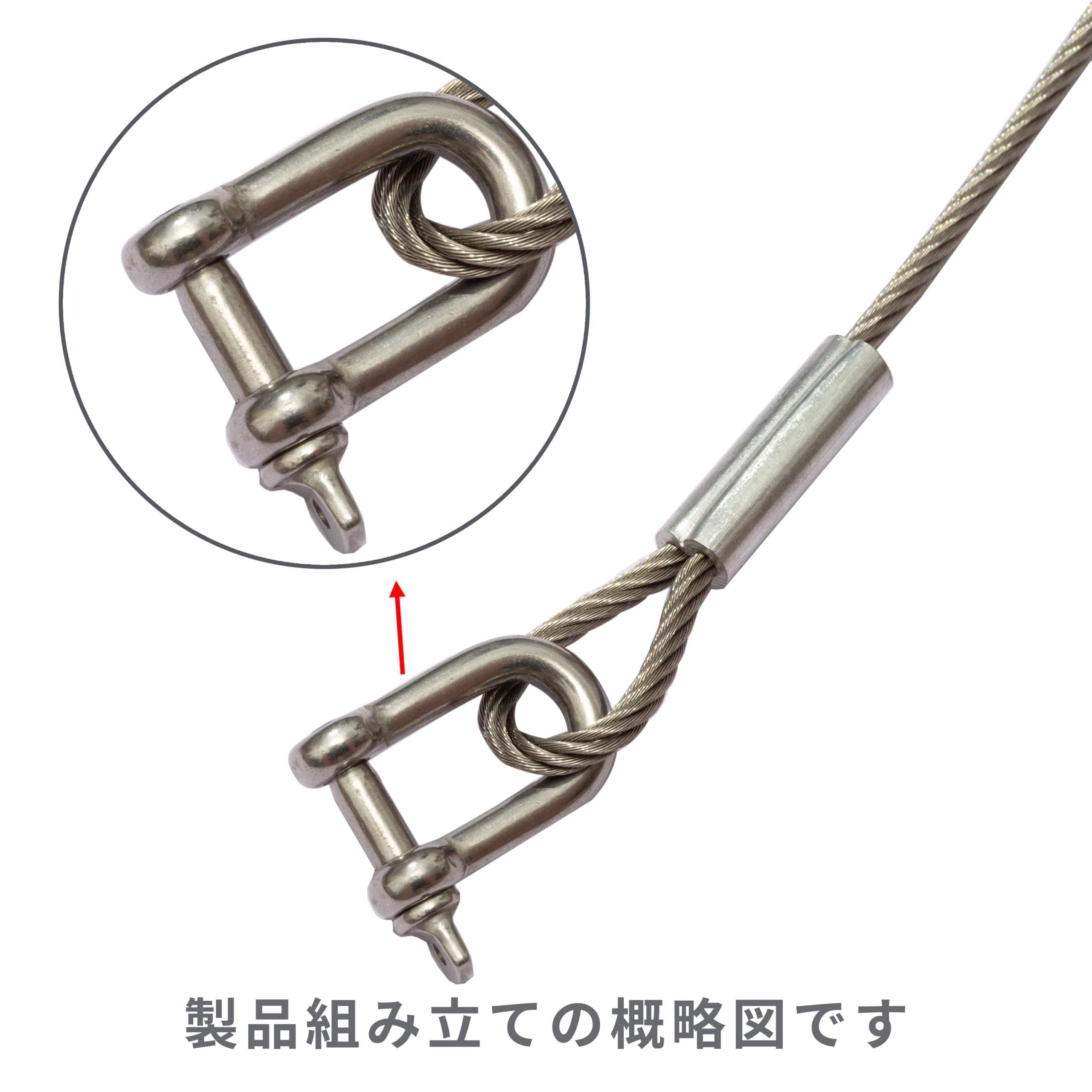 Amazon | ステンレス鋼304 Dシャックル6mm M6 ロープ固定 ワイヤー