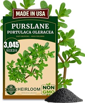 3000+ Green Purslane Seeds for Planting, Non-GMO Seeds Fast-Growing, Authentic Flavor High-Yielding, Heirloom