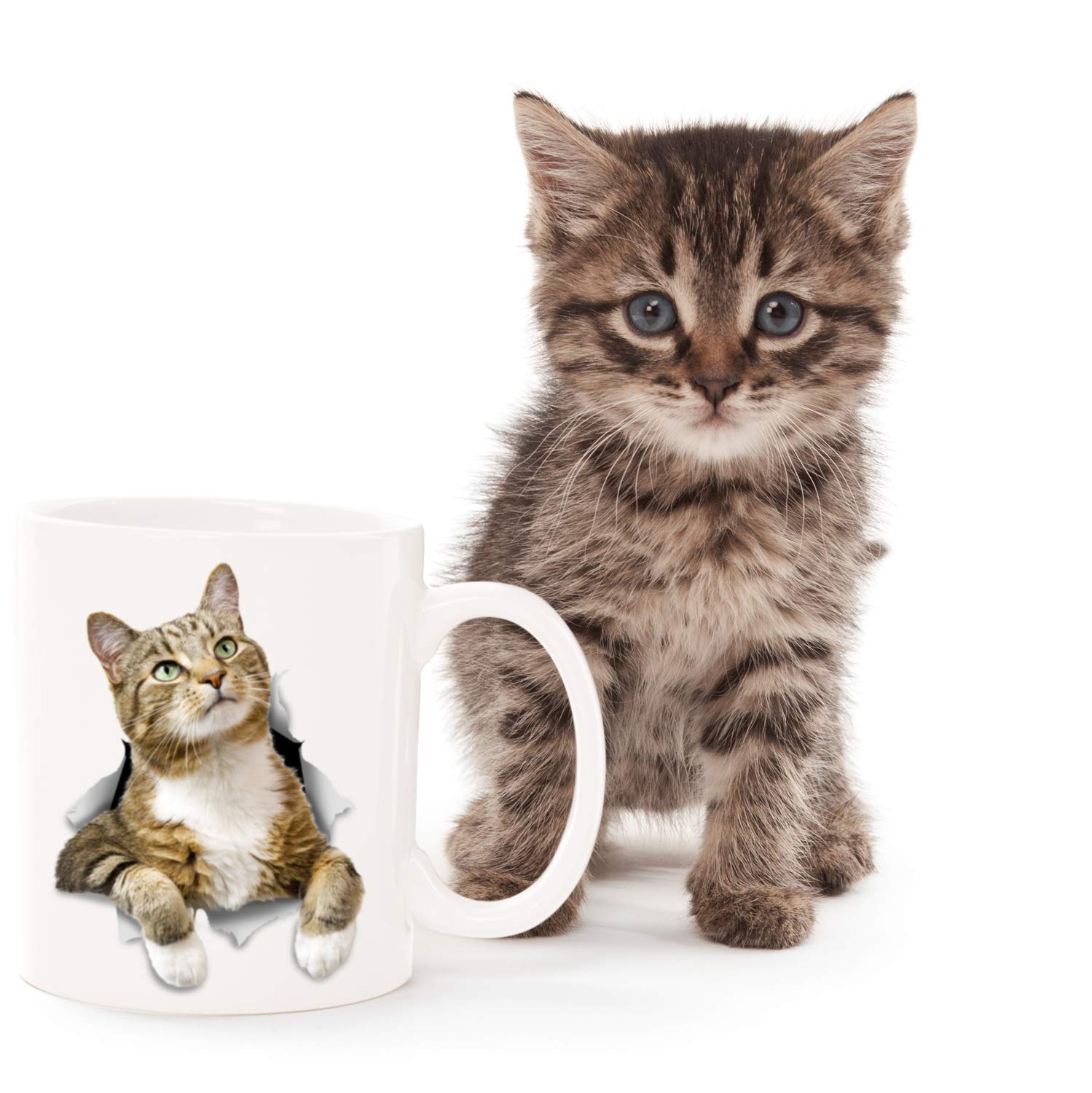 Bear Mugs - Juego De 2 Tazas De Café Con Leche De Vidrio De Doble Pared De 8.5 Onzas Con Asa, Taza De Cerveza Espresso Aislada, Bonitos Regalos De Cumpleaños Para Mujeres