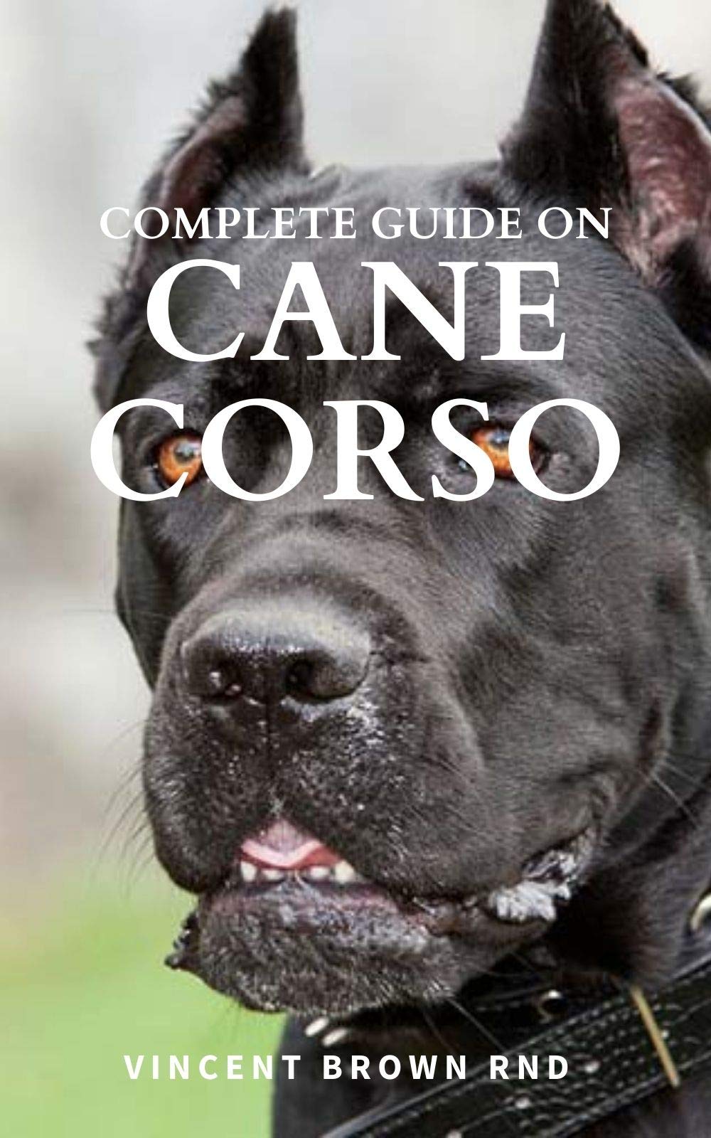 Buy COMPLETE GUIDE ON CANE CORSO All You Need To Know About Grooming