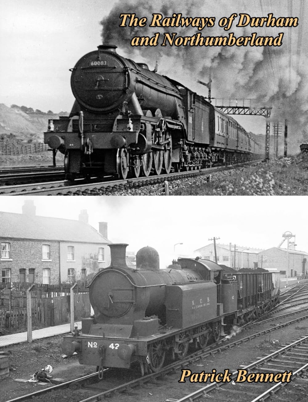 The Railways of Durham and Northumberland