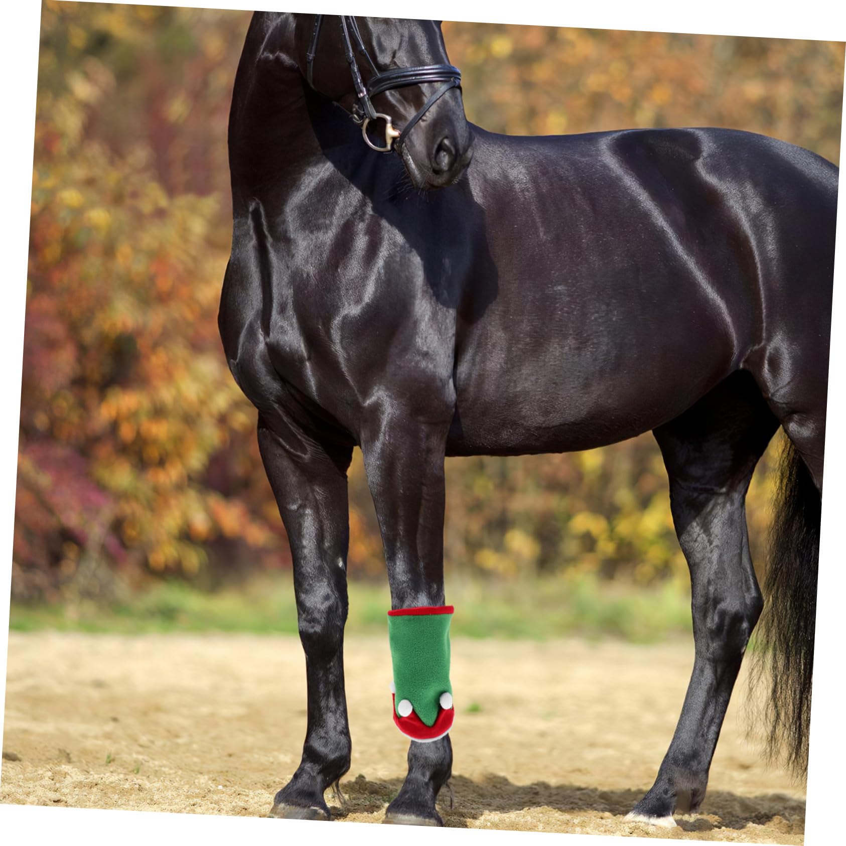Decorazione per Feste con Cappello e Protezioni Gambe Leggeri e Traspiranti per Estivi e Parate Natalizie Accessori Comfort per