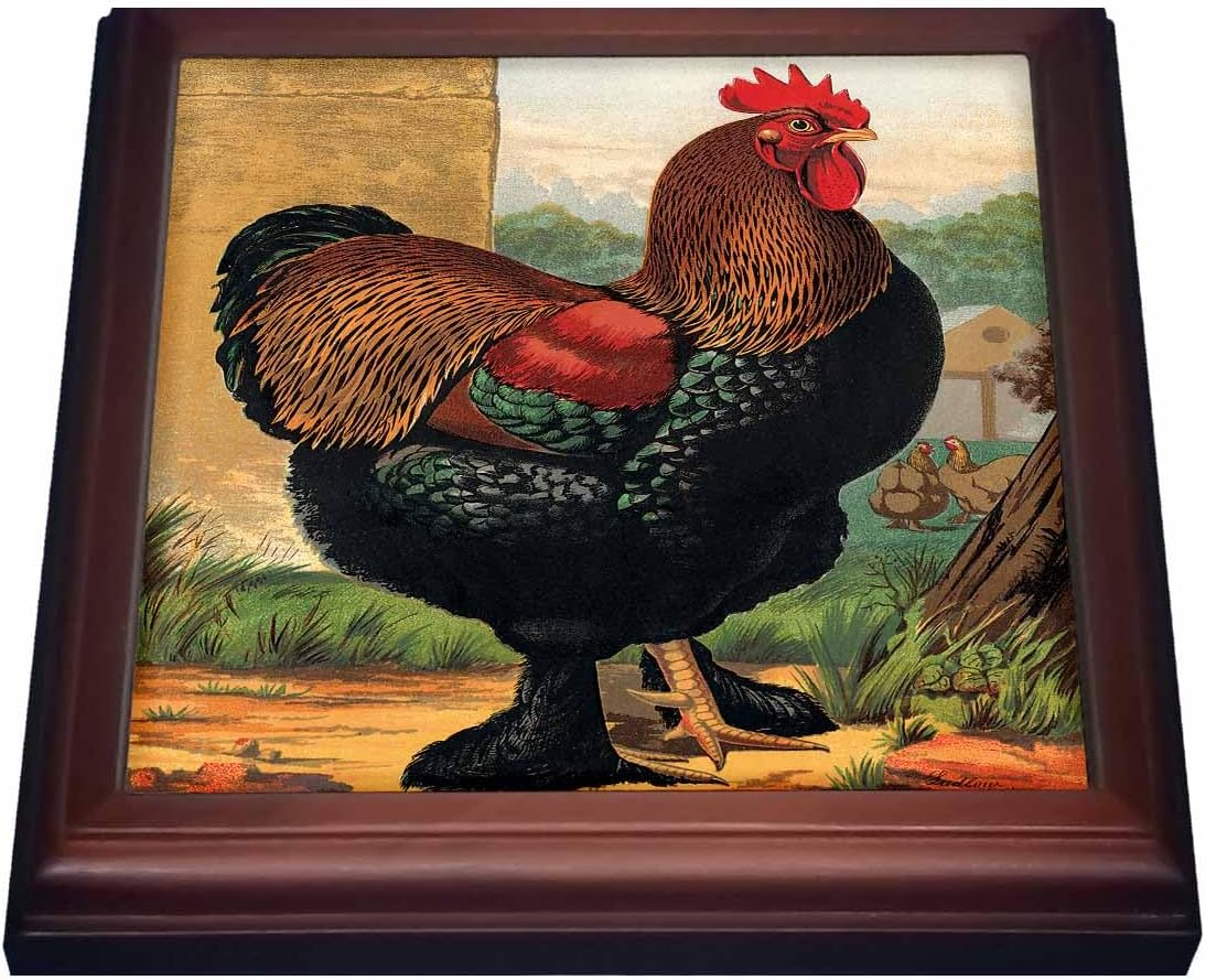 3dRose Vintage Partridge Cochin Rooster Trivet with Ceramic Tile, 8 x 8, Natural