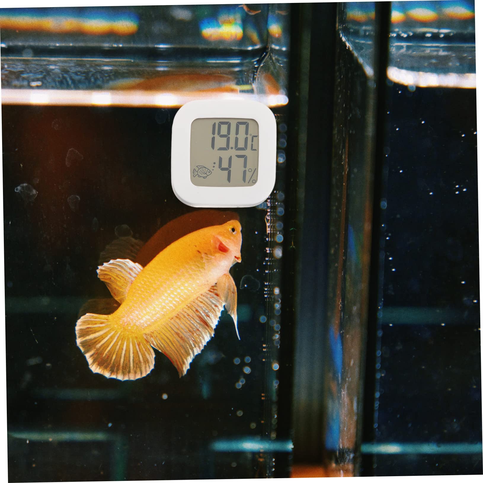 BESPORTBLE 4pièces Thermomètre Numérique pour Aquarium Capteur De Température Affichage LCD Mesure Précise pour Réservoirs Eau Douce Et Salée Mise à Jour Toutes Les Secondes