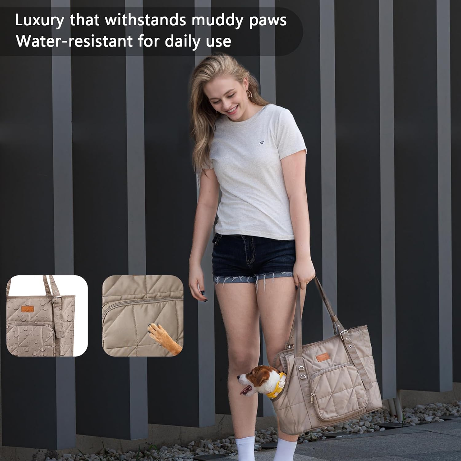 https://m.media-amazon.com/images/I/71Qn2H65OQL._AC_SL1500_.jpg