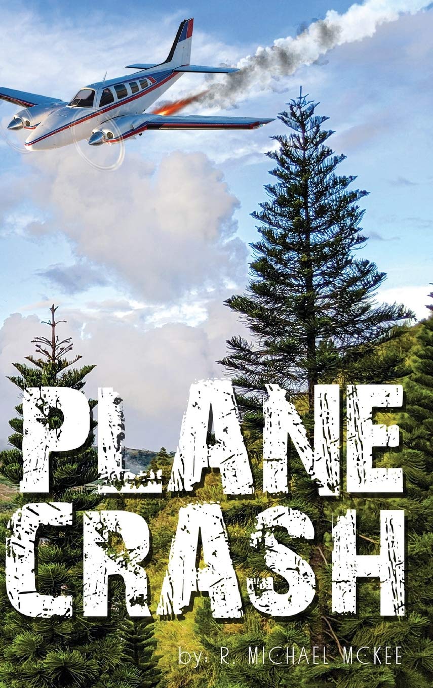 Buy Plane Crash — BookShops.in