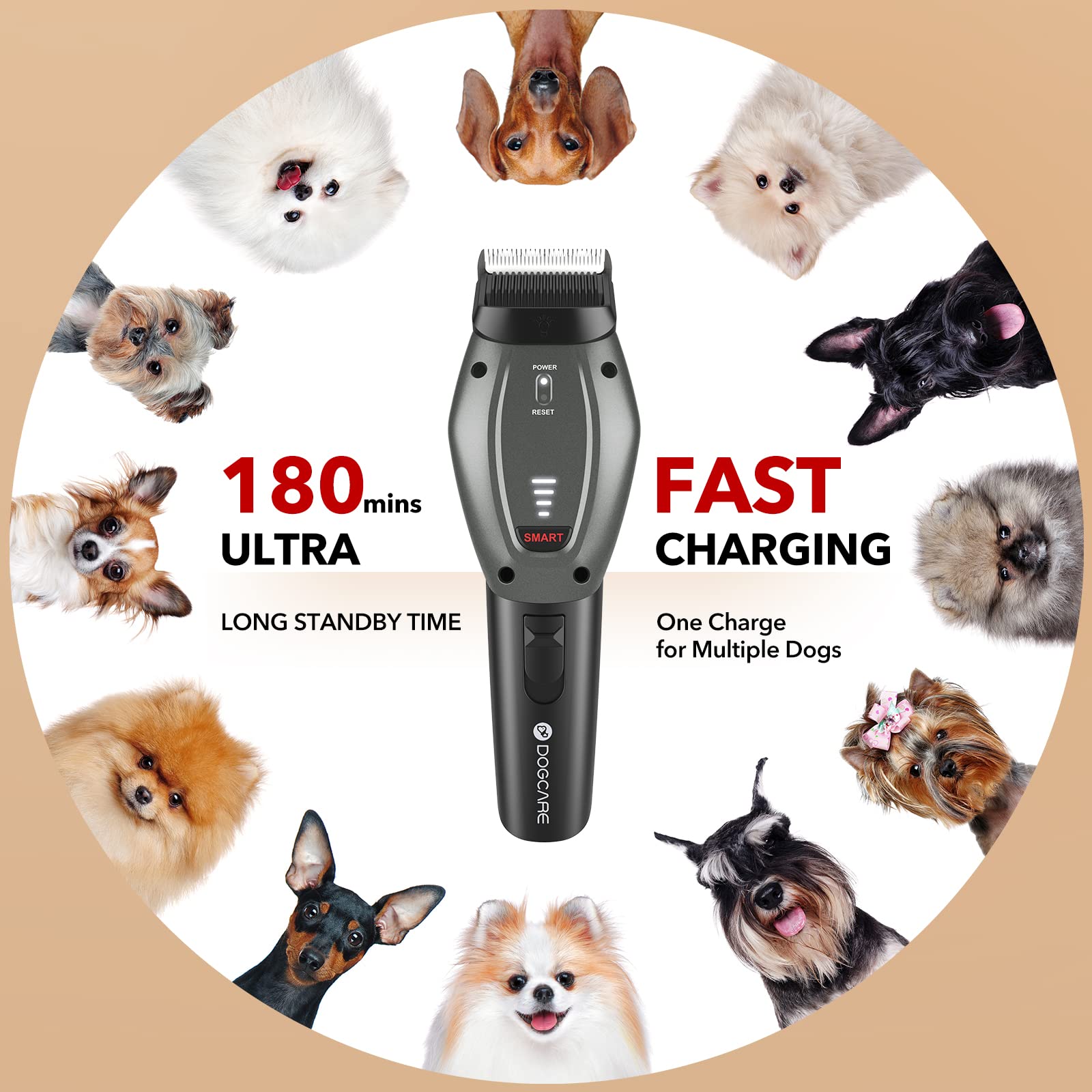 How Much Should A Dog Groomer Charge