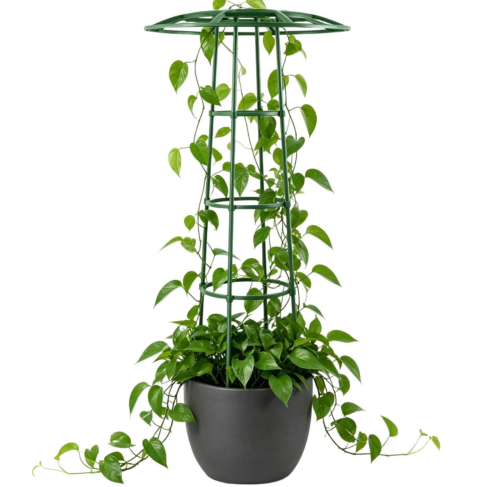 Enrejado de jardín para plantas trepadoras de diseño elegante para exteriores