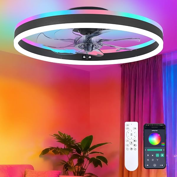 ORITHAM Ceiling Fans with Lights WJCF04