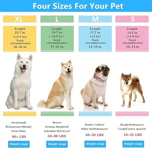 Miniatura 3 de Collar antitirones para perro, collar de martingala para perros grandes, medianos y pequeños (M (cuello 16-18 pulgadas, peso alrededor de 50 libras))