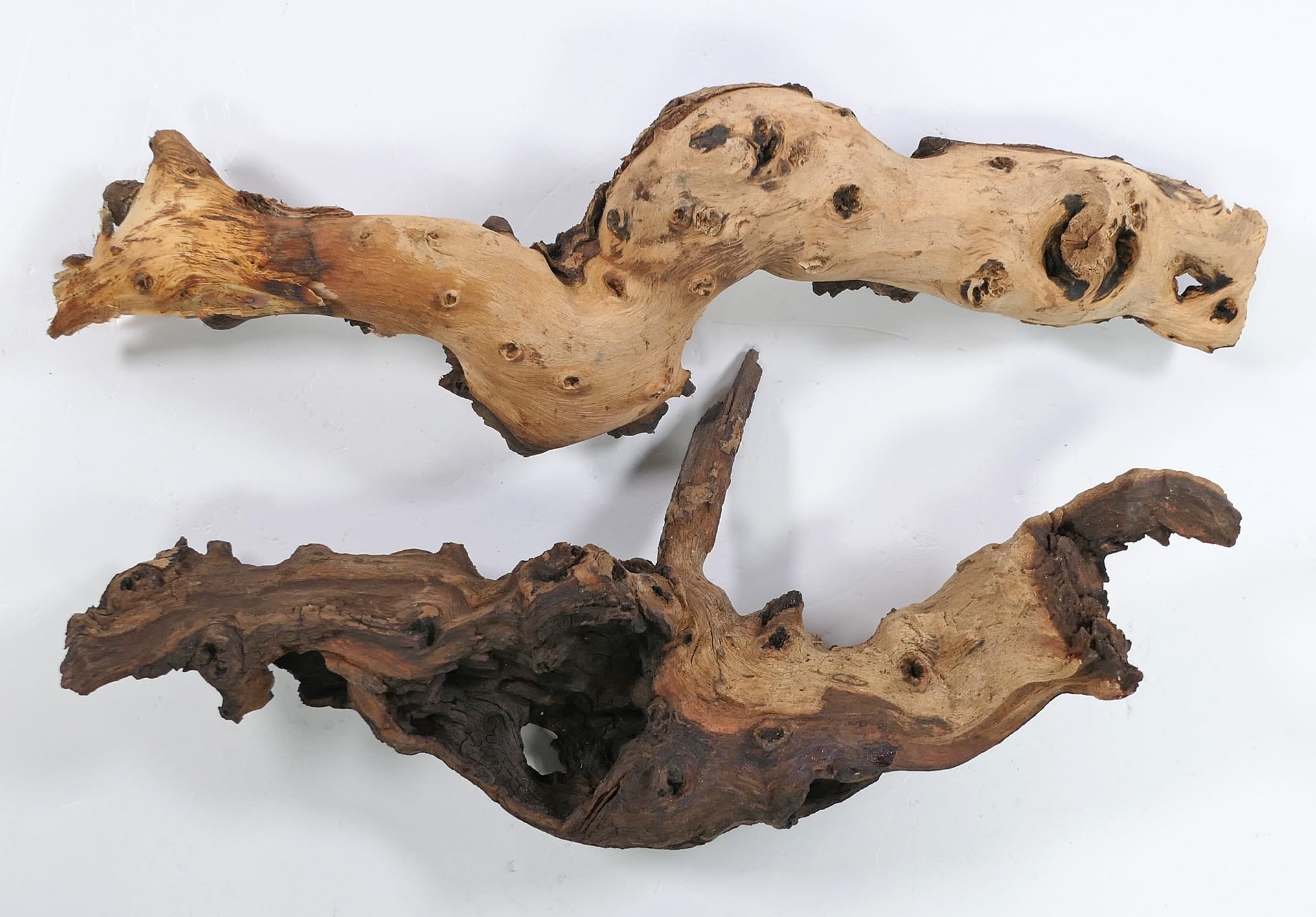 Mopani radice XL // radice in vero legno decorazione per acquario, gamberetti, pesci d'acquario Hard Scape 40 cm - 50 cm (Mangrove Savanna) Aquascaping