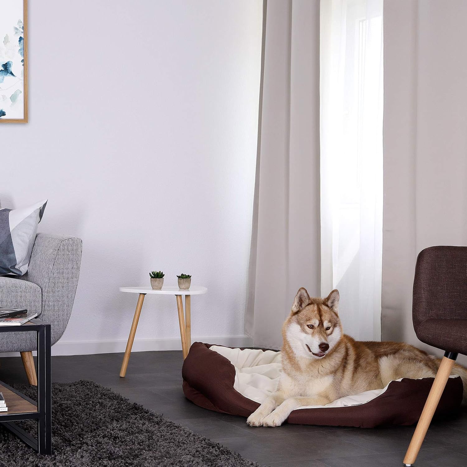 lionto Dog bed 4-in-1 with reversible cushion in Oxford, 85x70 cm - Image 3