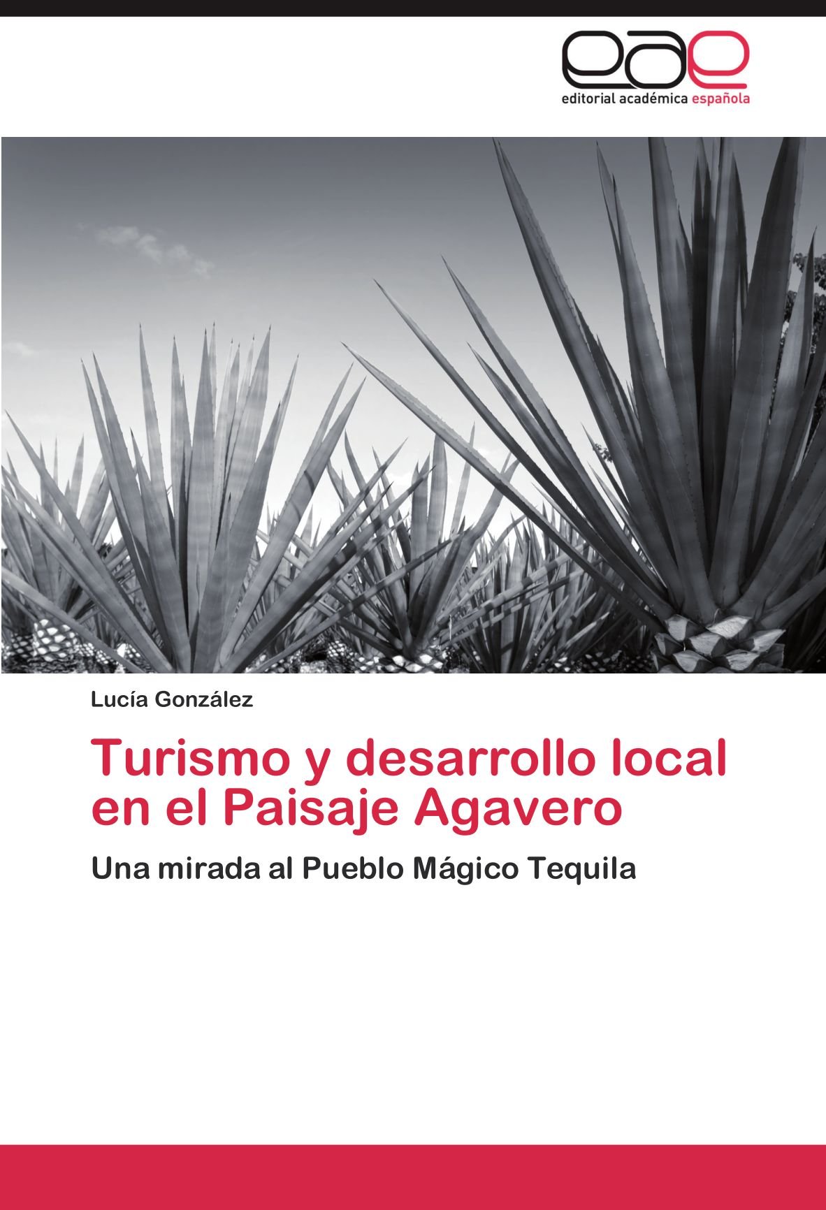 Turismo y desarrollo local en el Paisaje Agavero: Una mirada al Pueblo Mágico Tequila (Spanish Edition)