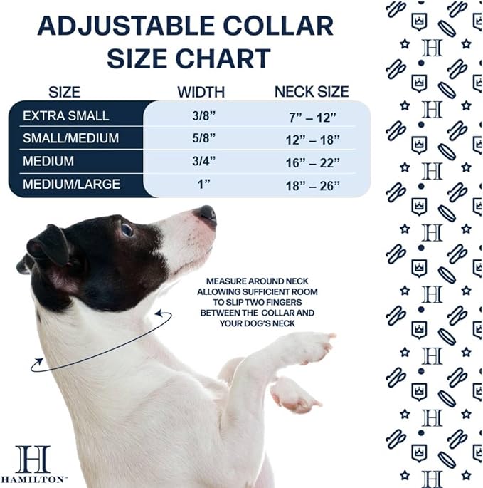 Collar Ajustable Hamilton de Nylon, Negro, 3/8" x 7-12" miniatura 3
