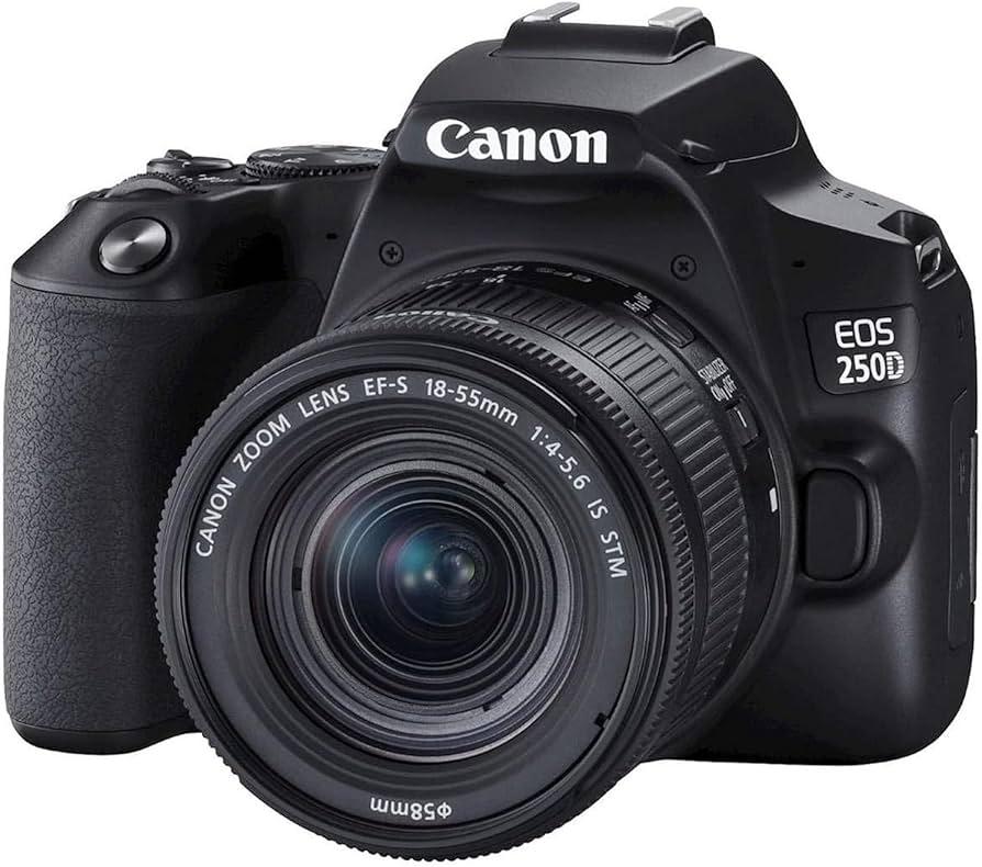 Amazon.com : Canon EOS 250D / Rebel SL3 DSLR Camera with EF-S 18