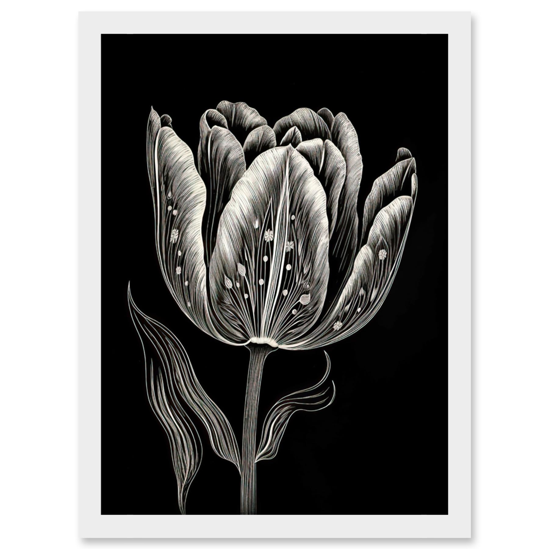Artery8 Tulip Flower White on Black Blind Contour Folk Art Artwork Framed Wall Art Print A4