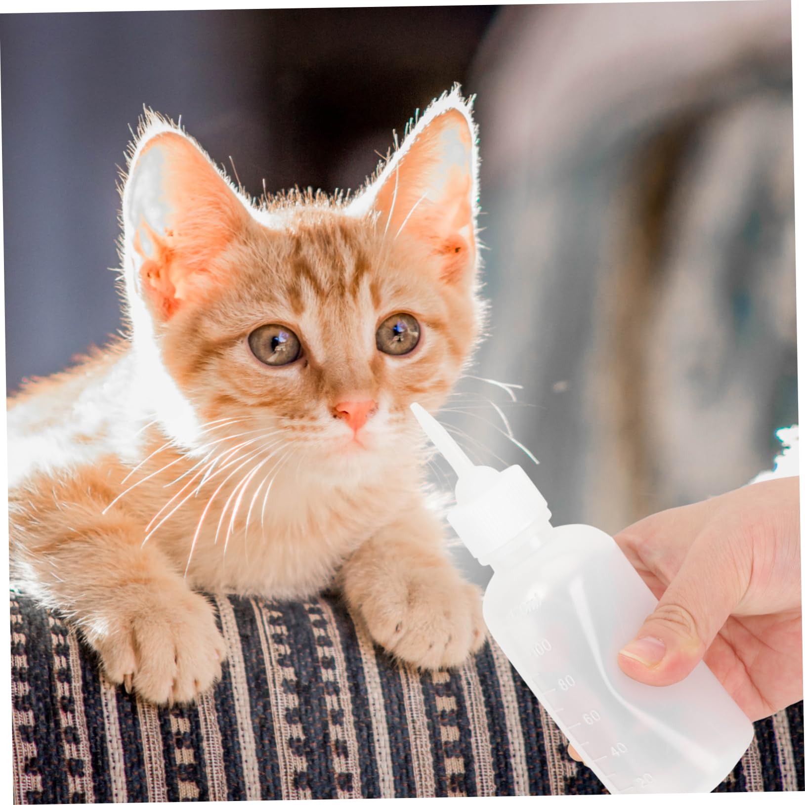 GRIRIW Dog Cat Kitten Pet Feeder Milk Bottles Pcs Ml Plastic Silicone Nursing Bottles Lightweight Portable Easy to Clean