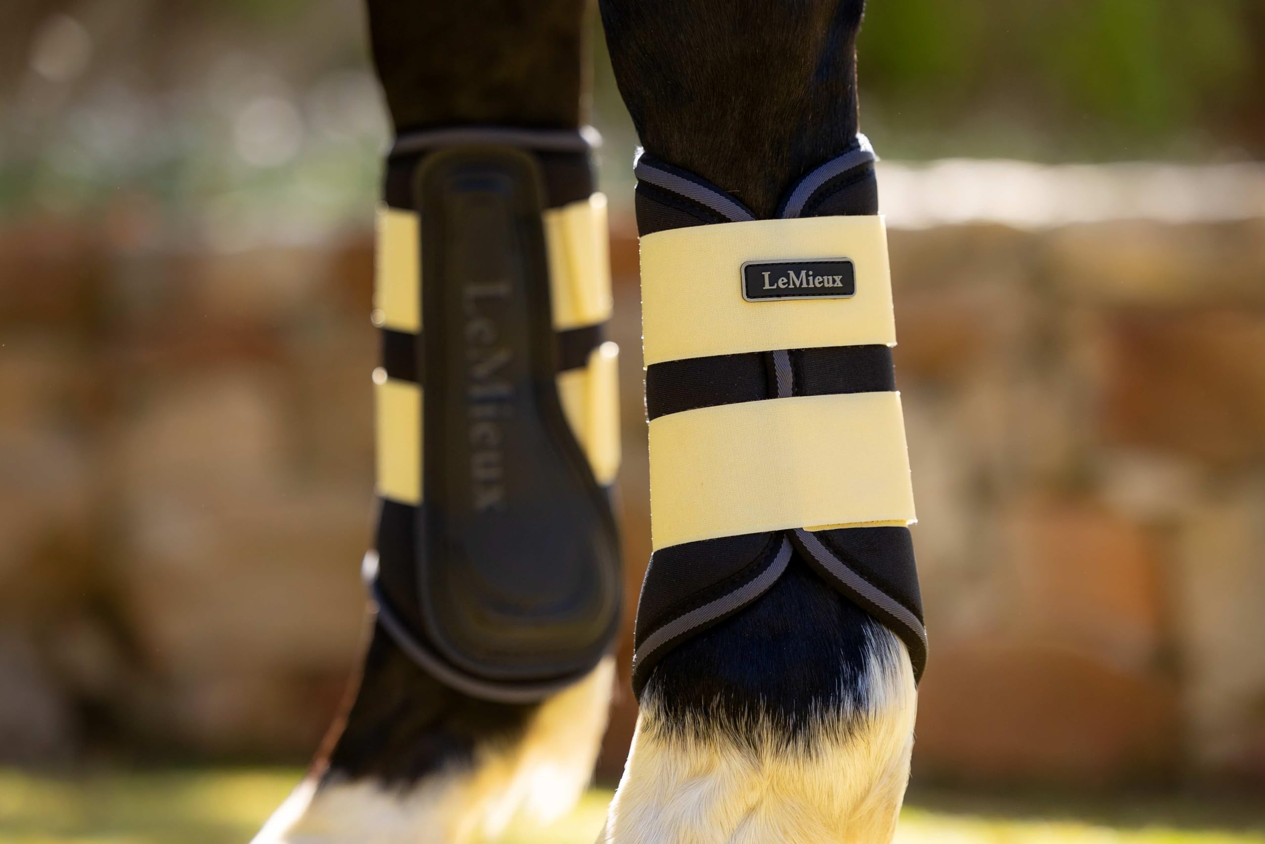 LeMieux Grafter Pony/Pferde-Bürstenstiefel – Mimose