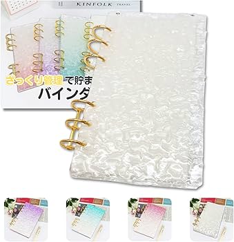 早い者勝ち 韓国 貯金 現金管理 リフィル ウォレット バインダー 水色