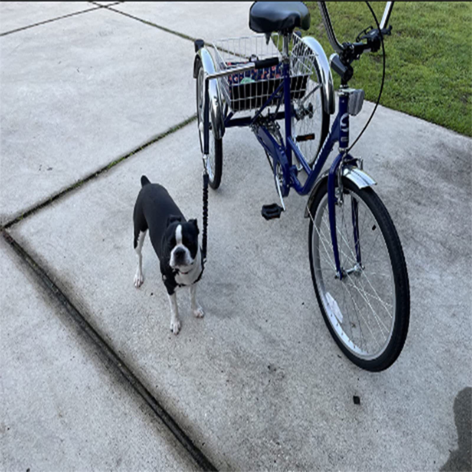 Laisse De Marche pour Vélo, Laisse De Vélo Mains Libres Amovible avec Sangle Rembourrée, Facile À Installer, Convient À Tous Les Types De Vélos Et À Toutes Les Races De Chiens