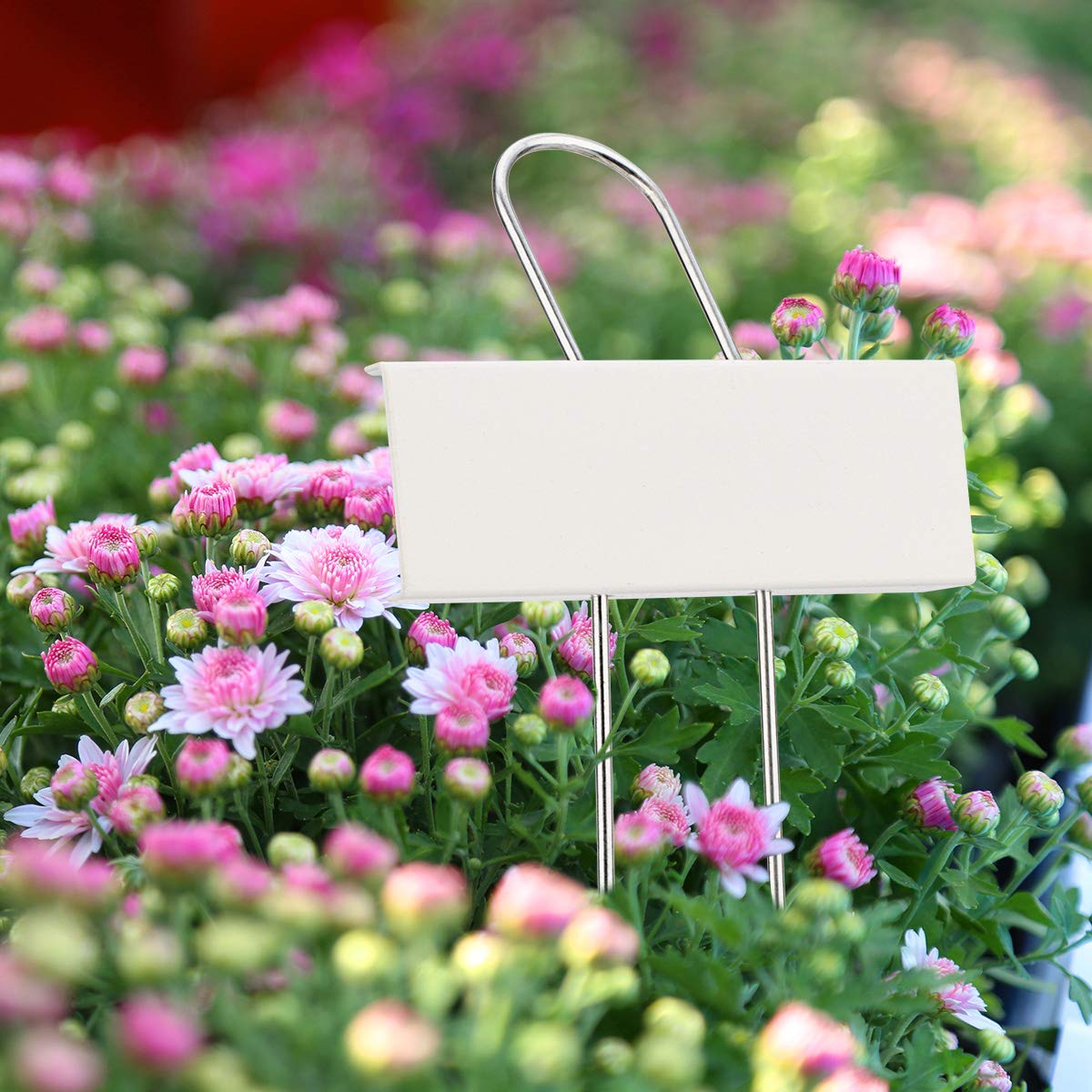 Lot de 25 étiquettes Marque Plantes en métal en Acier Inoxydable - Étanche - Réutilisable - Surface 9x3cm Hauteur 27cm (Blanc)