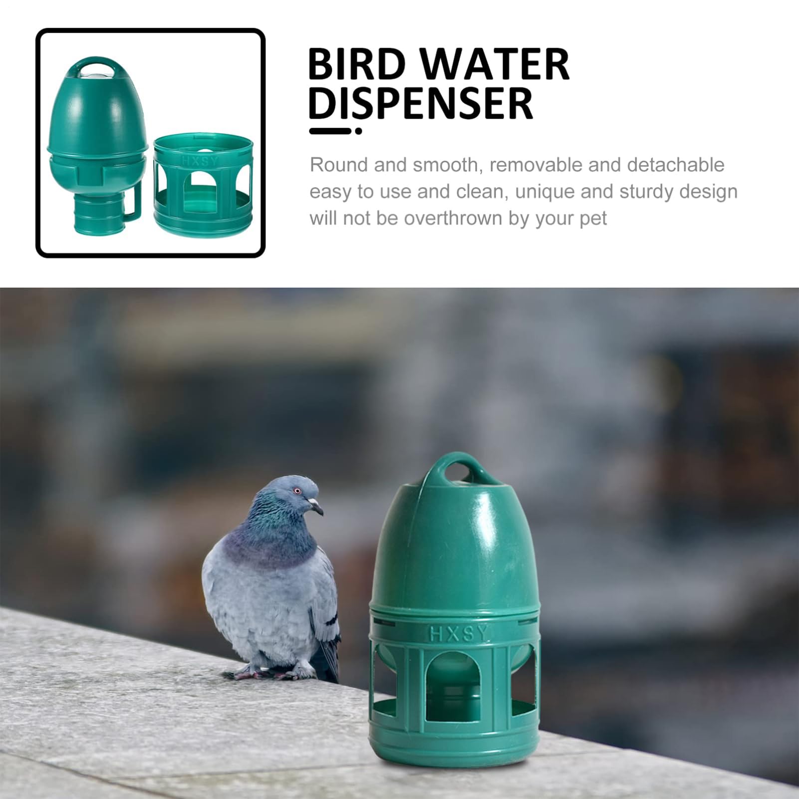 Distributeur d'eau pour Pigeons, Abreuvoir pour Pigeons | Distributeur de mangeoire à Oiseaux pour récipient à Eau pour - Poignée supérieure, Large Ouverture, Fournitures pour Animaux