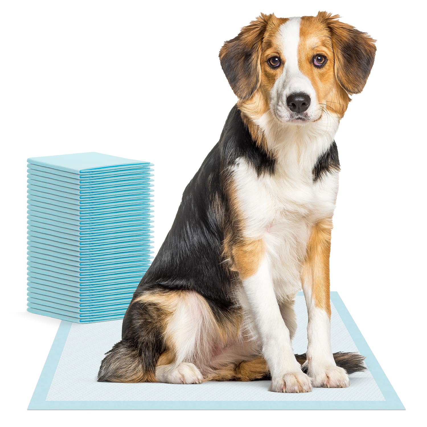 200x ARNOMED almohadillas para cachorros, bandeja sanitaria para perros a prueba de fugas en 60x90cm, accesorios para perros pequeños, alfombrillas PIPI de 5 capas para perros