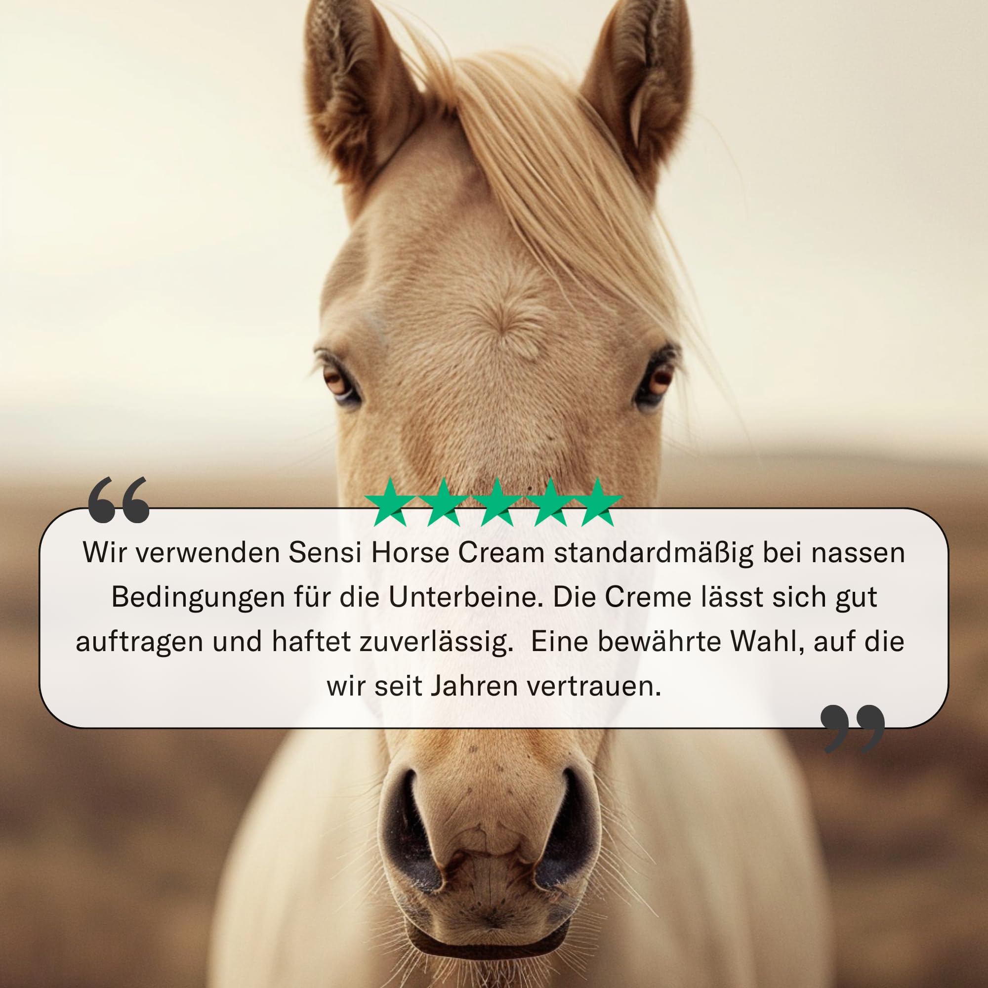 Sensi Horse Cream 300 ml – Pomada de zinc para caballos para pieles sensibles al Mauke – Protección impermeable para la flexión de las esposas y las piernas inferiores – con óxido de zinc – Desde 1990