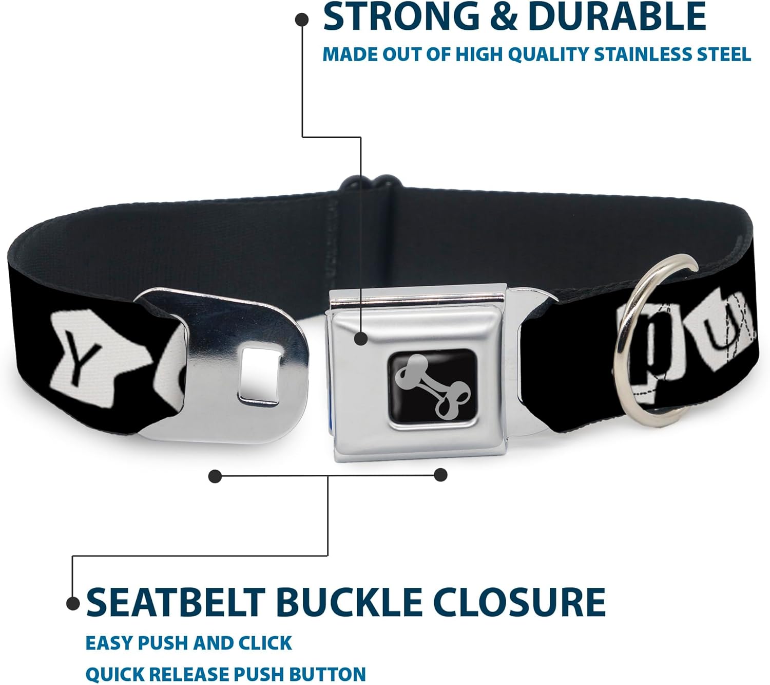Dog Collar Seatbelt Buckle Punk You Black White 13 to 18 Inches 1.5 Inch Wide