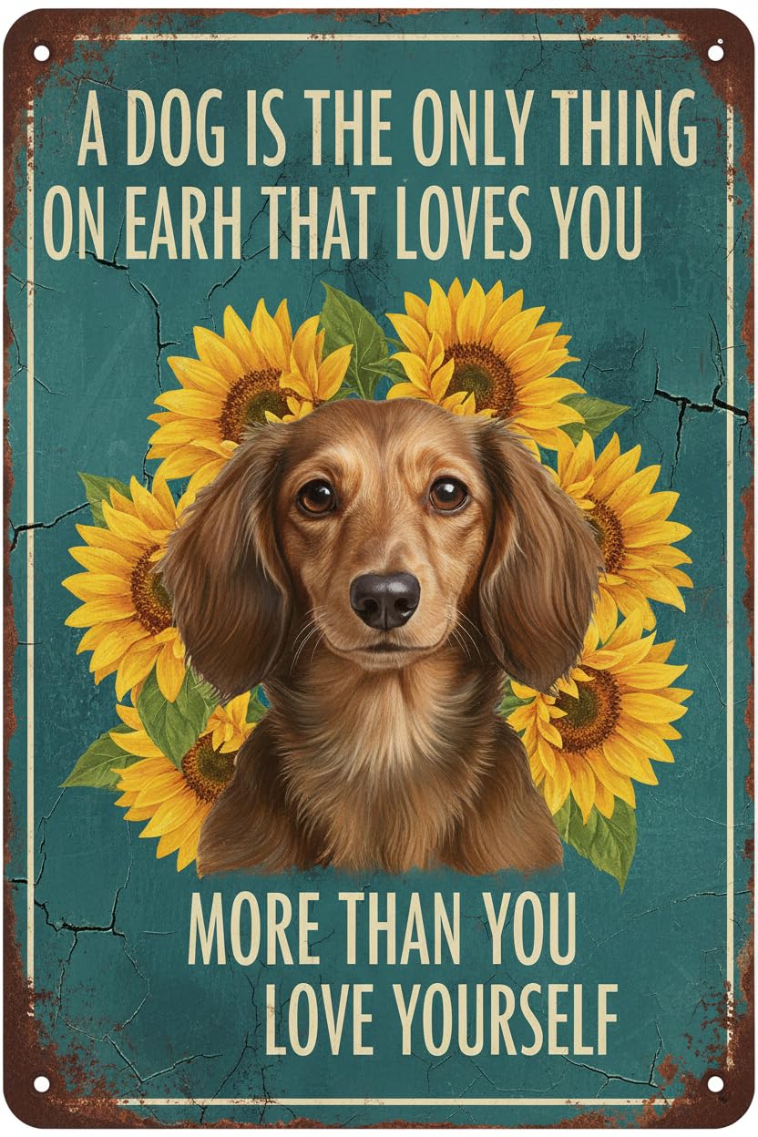 Wall Decor Retro Aluminum Sign A Dog Is The Only Thing On Earth Tin Sign Vintage Art Sign For Garden Retro Store Cafe8x12Inch Signs Plates Printed