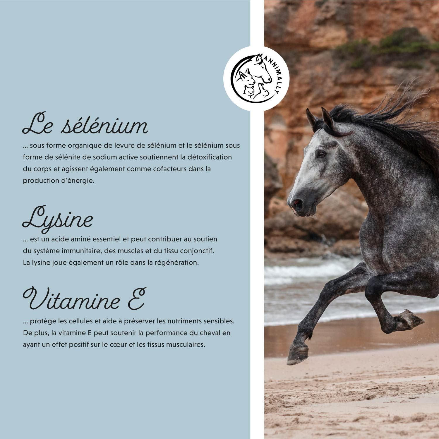 Annimally Sélénium, Vitamine E, L-Lysine Poudre pour Chevaux 800g - Complexe de Vitamine E, L-Lysine et Sélénium pour Soutenir la Musculature et Les Performances - Complément Alimentaire pour Cheval