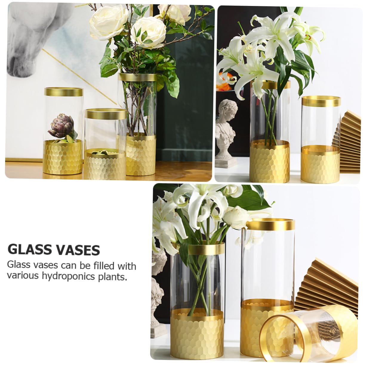 Vase Transparent en Verre pour Culture Hydroponique, Modèle 1 Pièce