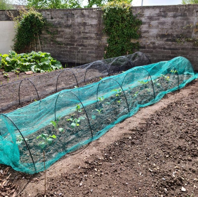 Black Modular Cloche Hoop Tunnel Kits 1.2m Wide x 0.6m High (0.9m Long with Green Bird Netting)