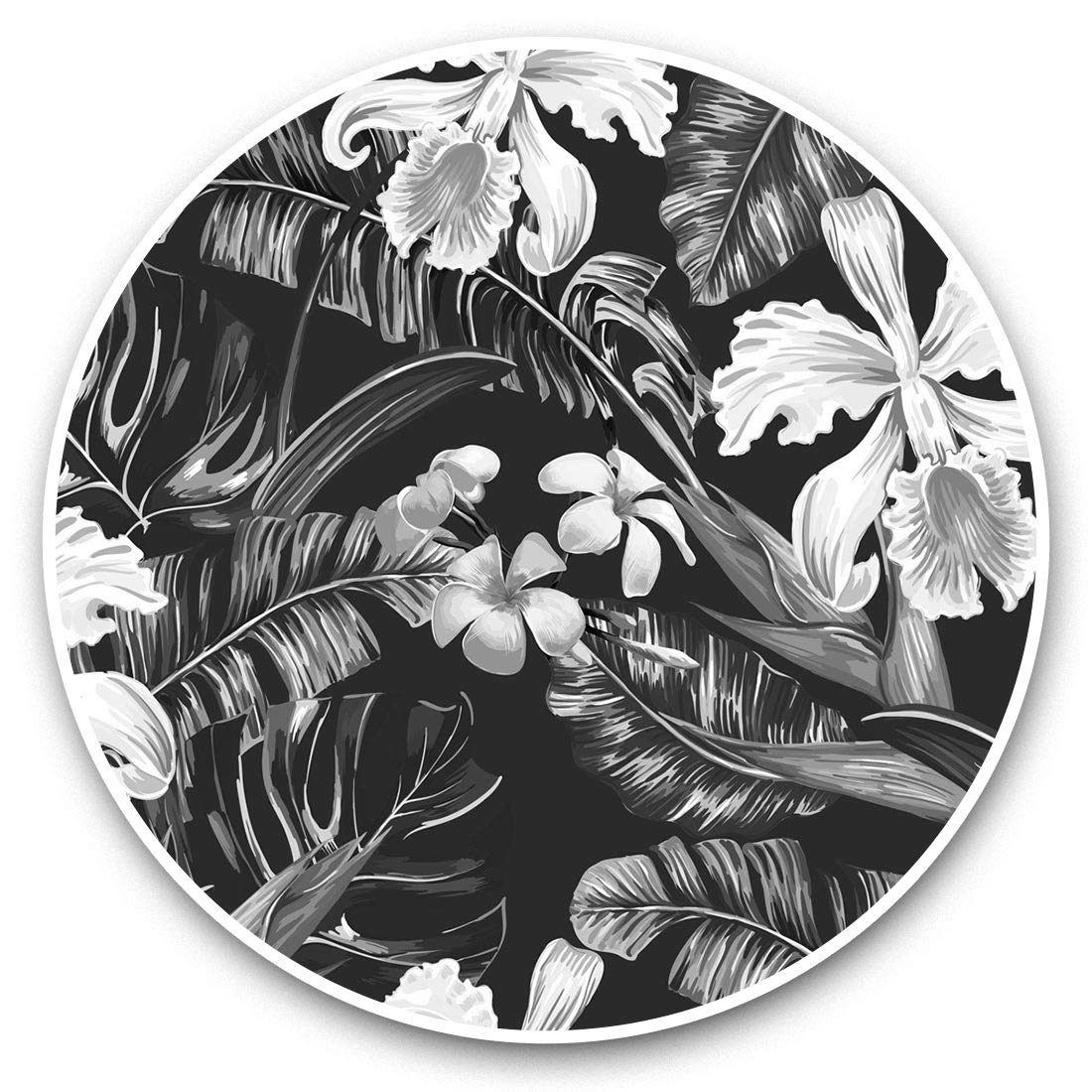 Awesome Vinyl Stickers (Set of 2) 7.5cm (bw) - Bird of Paradise Flower Botanical Fun Decals for Laptops,Tablets,Luggage,Scrap Booking,Fridges #35397