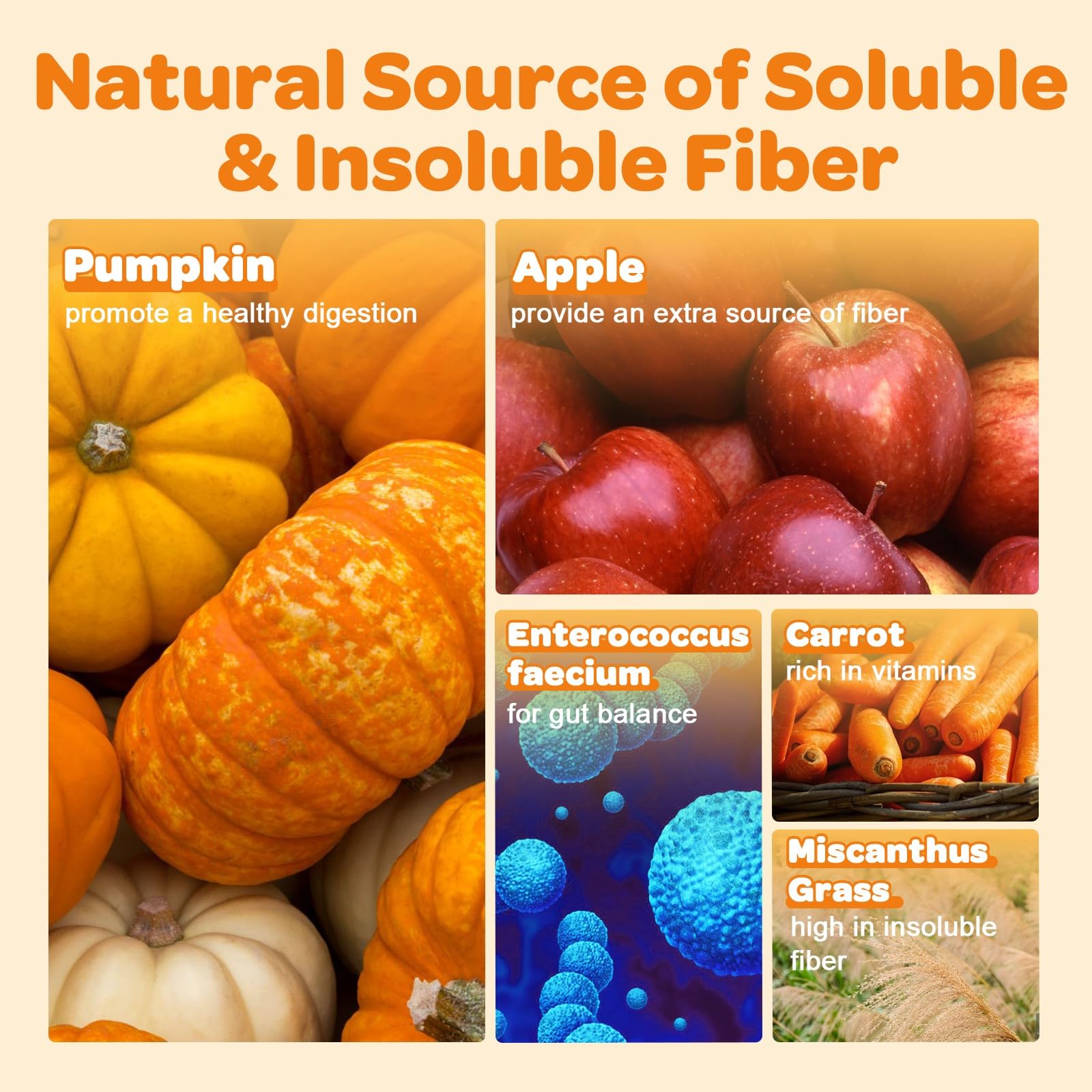 Pumpkin for Dogs - Natural Fiber for Dogs and Cats, with Apple, Dog Probiotics for Digestive Health, Support Firm Stool, Diarrhea, Constipation, Add Water to Make Pumpkin Puree for Dogs, 10.58 oz