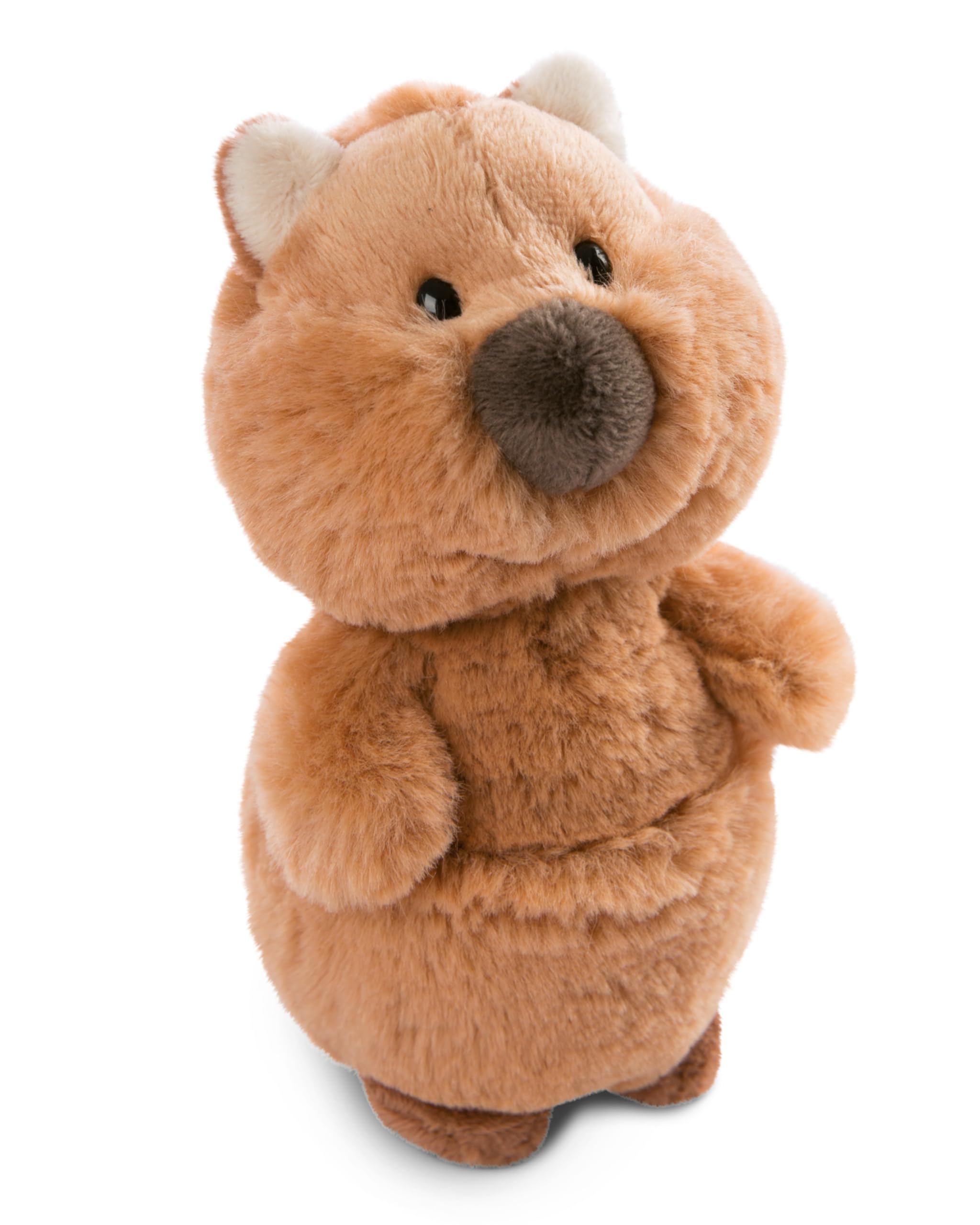 NICI cuddly toy Quokka Quokka-Mola 22cm brown - Cuddly cute plush to snuggle and play with, for children & adults, great gift idea - 49818