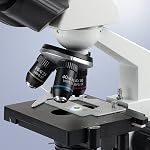 Microscope Immersion Oil 0.84 oz (25ML) Type A, Microscope Specific, Easy to Remove
