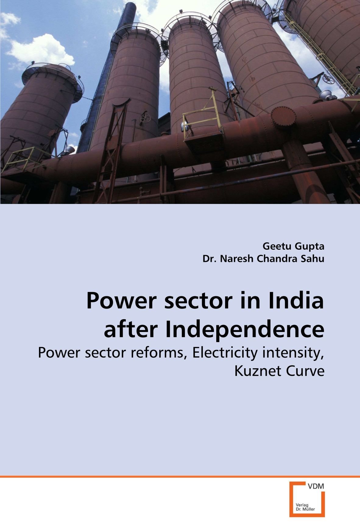 Power Sector in India After Independence
