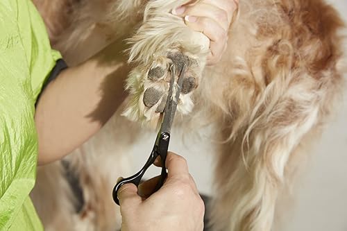 Miniatura 19 de Andis Cizalla de punta esférica prémium de 6.5 pulgadas, para zurdos