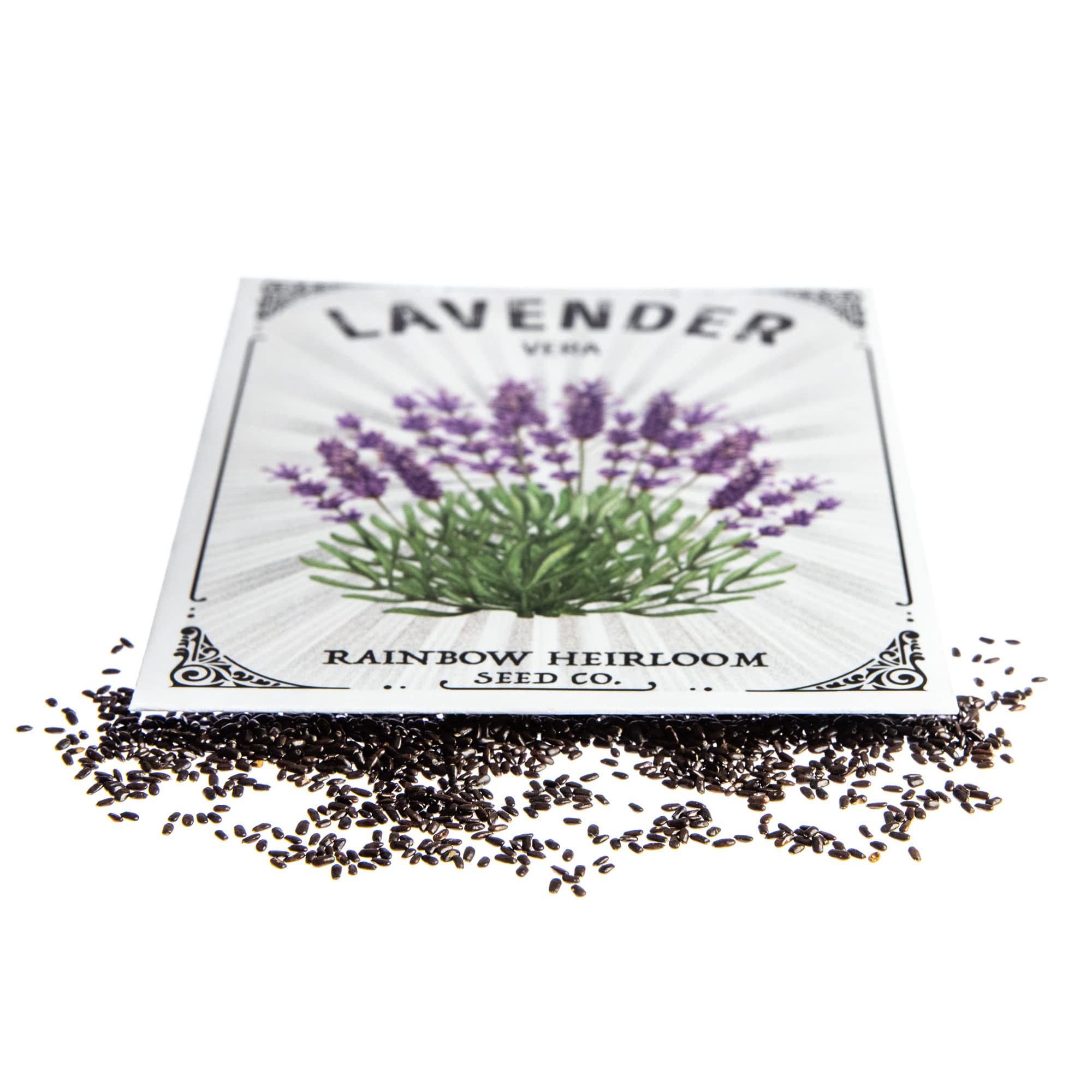 Medicinal Herb Seeds Bulk Lavender Seeds  Vera Perennial, Non-GMO, 2000  Seeds For Landscaping Sea Lavender Seeds
