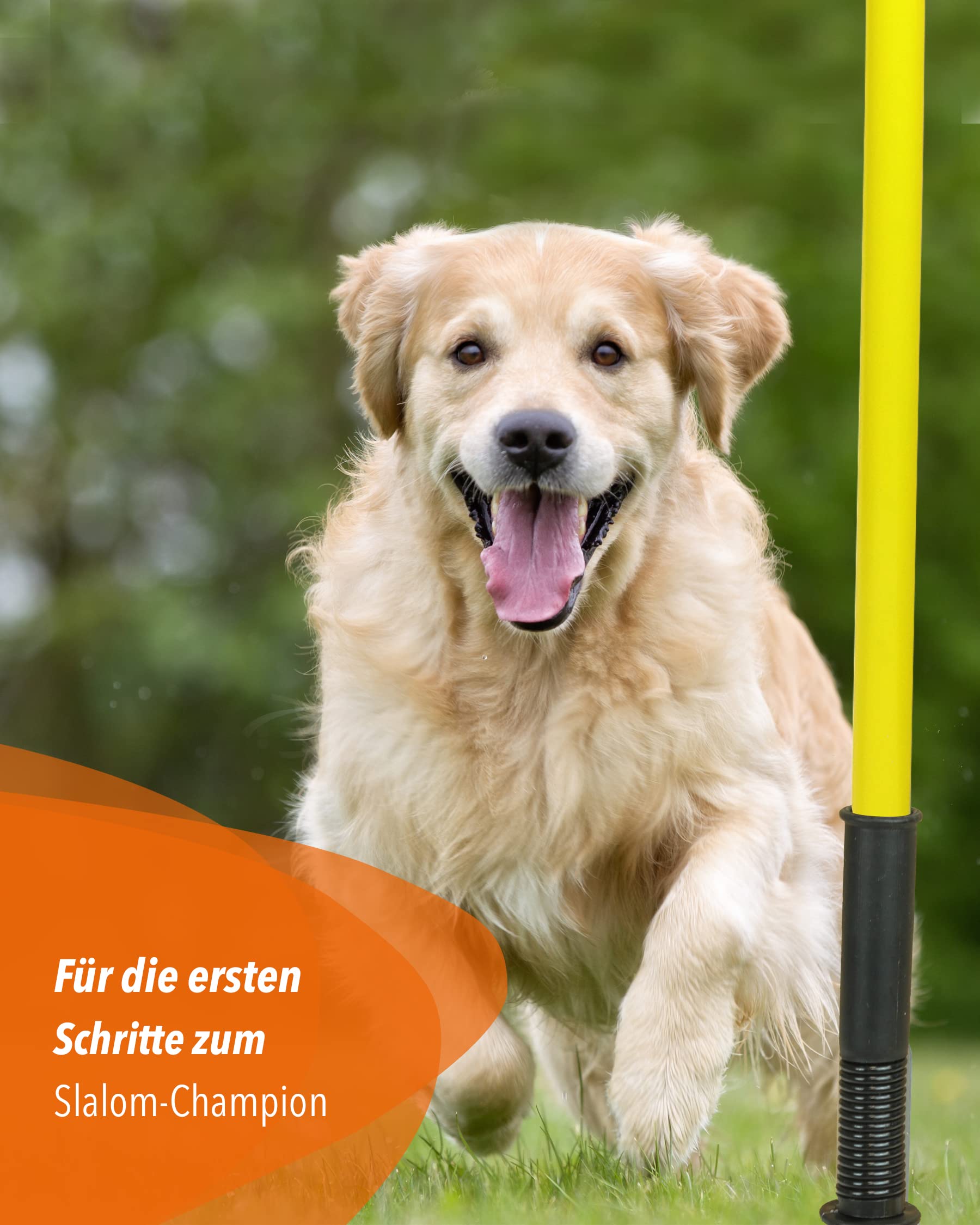 Kombi-Hülse aus Kunststoff mit Kippgelenk & Slalomstange 100 cm – 4er Set – für Slalom & Koordinationstraining – für Fußball, Leichtathletik & Hundesport – Agility-Stangen