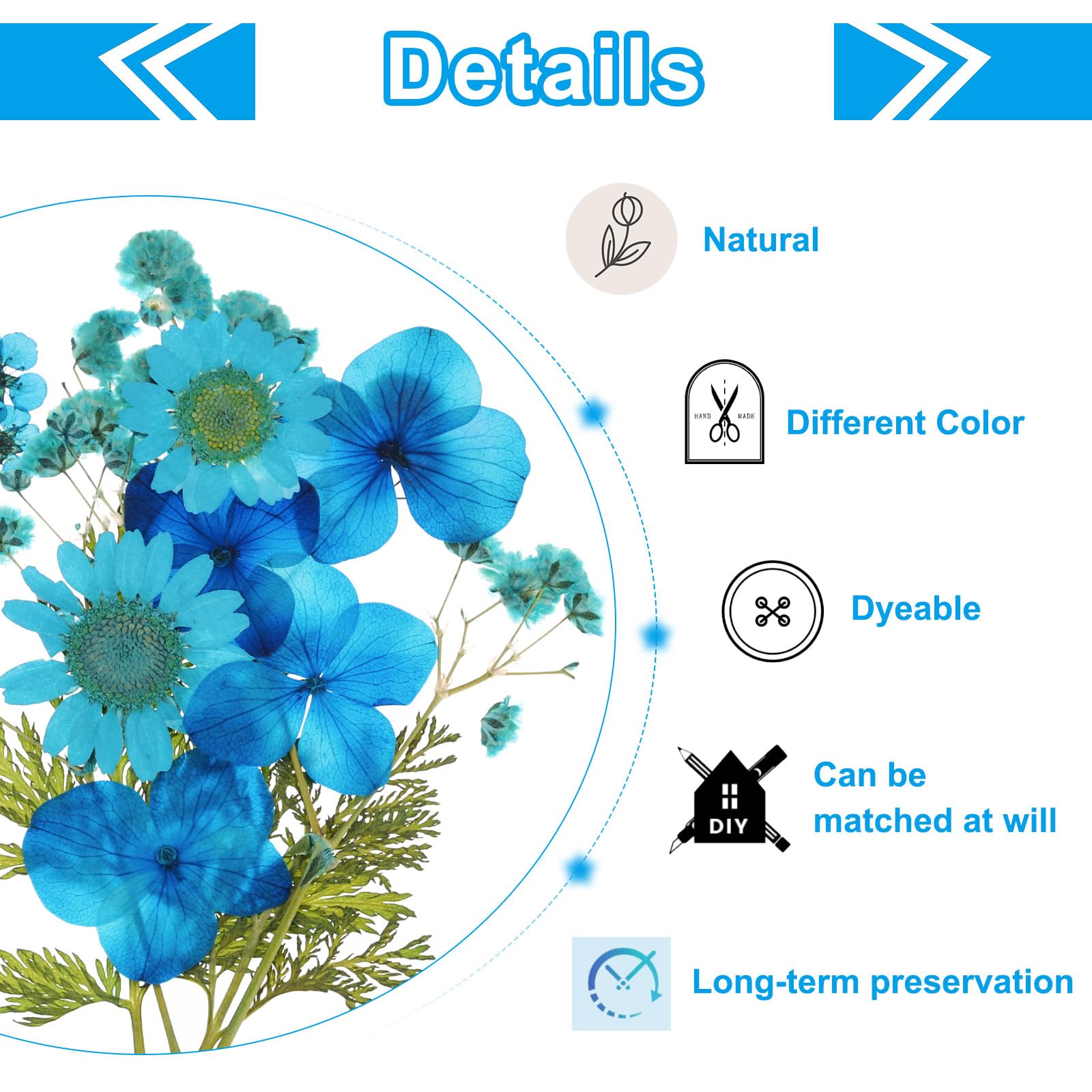 PATIKIL Dried Pressed Flowers, Real Dry Leaves Pressed Bloom for Scrapbook Supplies Card Making Resin Jewelry Making Soap Candle DIY Crafts, Blue - Image 3